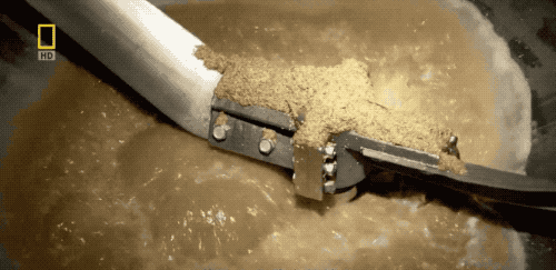 麥芽糖化過程 麥芽糖化過程