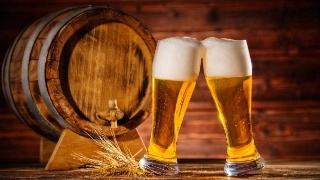 精釀啤酒設備 精釀啤酒設備