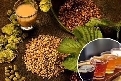 精釀啤酒原料--山東豪魯啤酒設(shè)備 精釀啤酒原料--山東豪魯啤酒設(shè)備