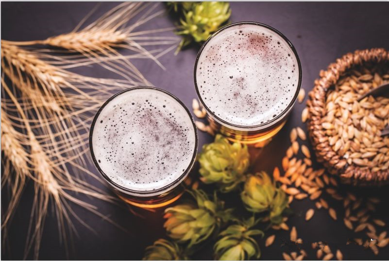 啤酒設(shè)備原料 啤酒設(shè)備原料